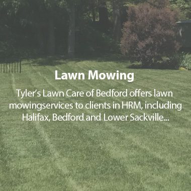 https://tylerslawncare.ca/wp-content/uploads/2018/04/TLC-Lawn-Mowing-380x380.jpg