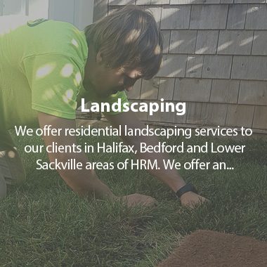 https://tylerslawncare.ca/wp-content/uploads/2018/04/TLC-landscaping-380x380.jpg