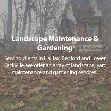 https://tylerslawncare.ca/wp-content/uploads/2018/04/TLC-landscaping-and-maintenance-380x380.jpg
