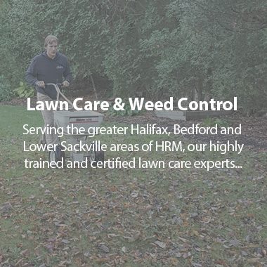 https://tylerslawncare.ca/wp-content/uploads/2018/04/TLC-lawn-care-380x380.jpg