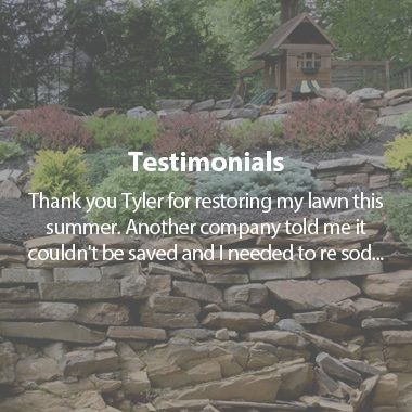 https://tylerslawncare.ca/wp-content/uploads/2018/04/testimoinalsb-380x380.jpg